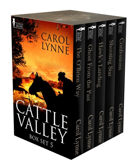 Cover image for book Cattle Valley Box Set 5