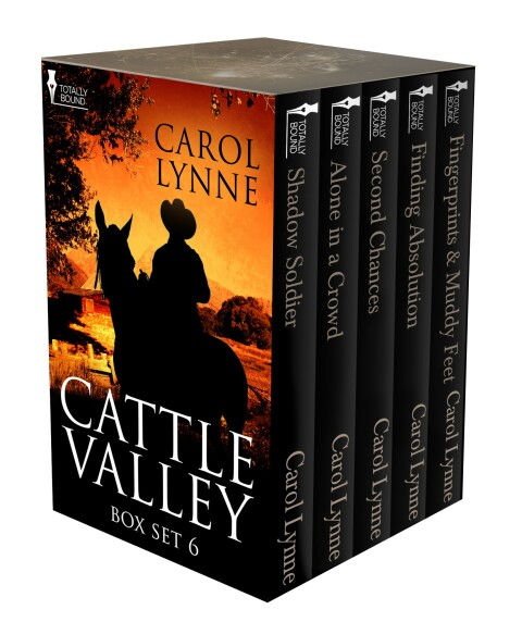 Cover image for book Cattle Valley Box Set 6