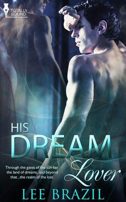 Cover image for book His Dream Lover