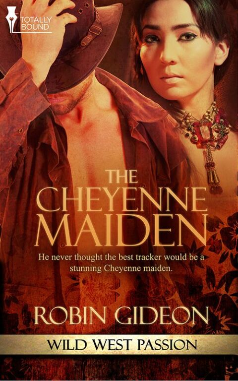 Cover image for book The Cheyenne Maiden