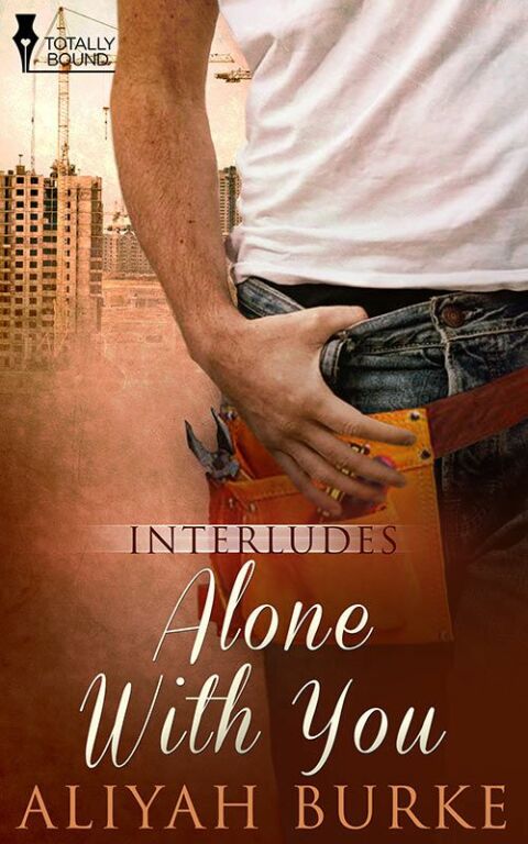 Cover image for book Alone With You