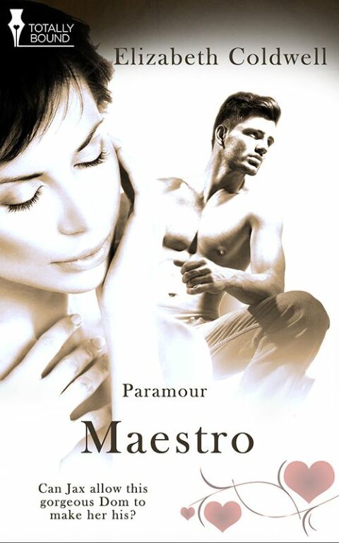 Cover image for book Maestro