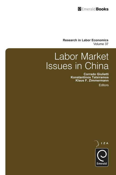 Cover image for book Labor Market Issues in China