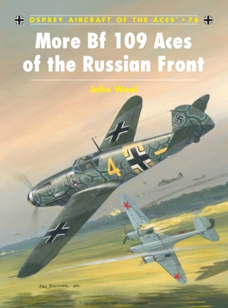 More Bf 109 Aces of the Russian Front