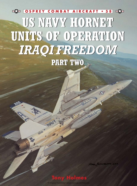US Navy Hornet Units of Operation Iraqi Freedom (Part Two) 