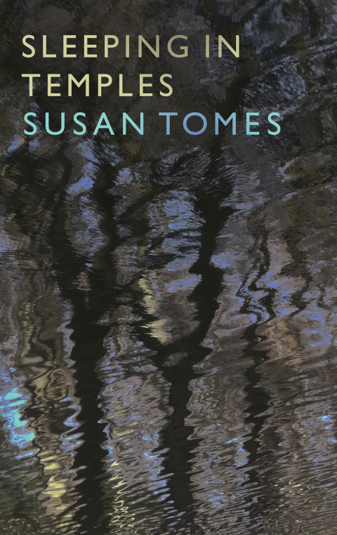 Cover image for book Sleeping in Temples