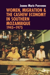 صورة الغلاف: Women, Migration & the Cashew Economy in Southern Mozambique 1st edition 9781847011282
