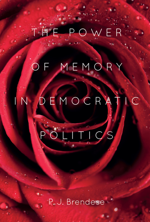 Cover image for book The Power of Memory in Democratic Politics