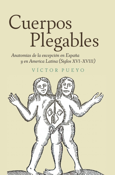 Cover image for book Cuerpos plegables