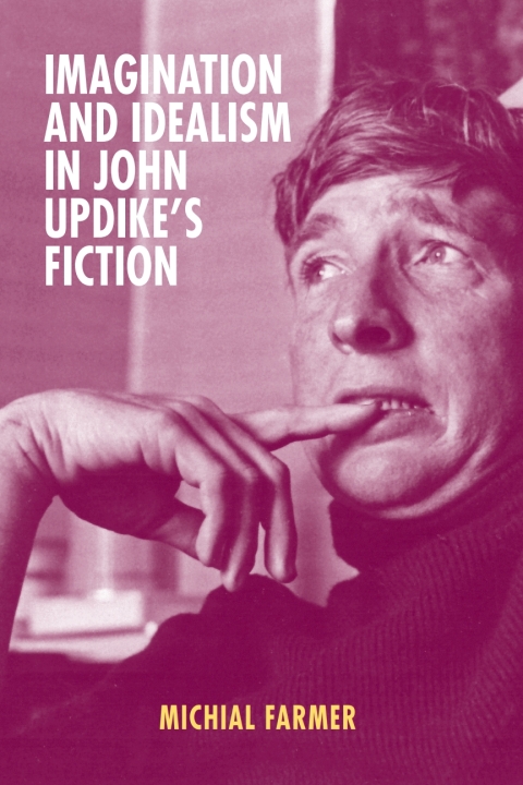 Cover image for book Imagination and Idealism in John Updike's Fiction