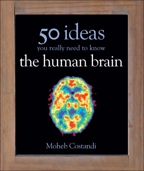 Cover image for book 50 Human Brain Ideas You Really Need to Know