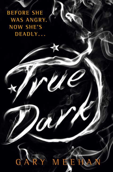 Cover image for book True Dark