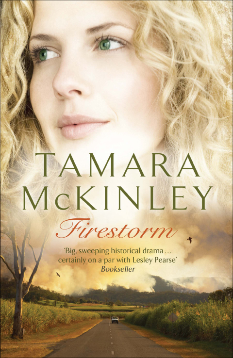 Cover image for book Firestorm