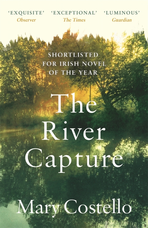 Cover image for book The River Capture
