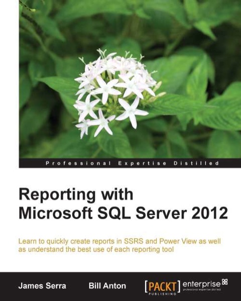Cover image for book Reporting with Microsoft SQL Server 2012