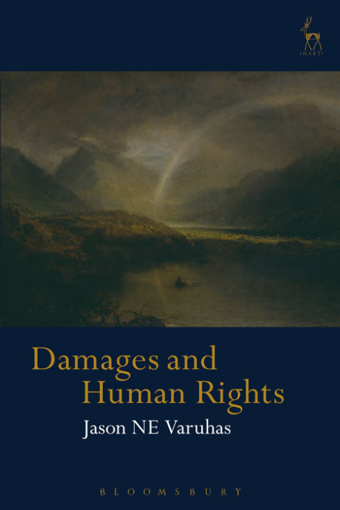 Cover image for book Damages and Human Rights