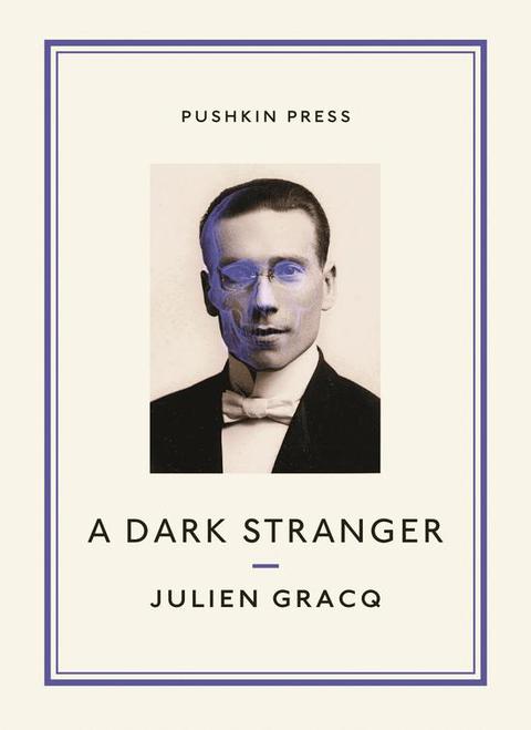 Cover image for book A Dark Stranger