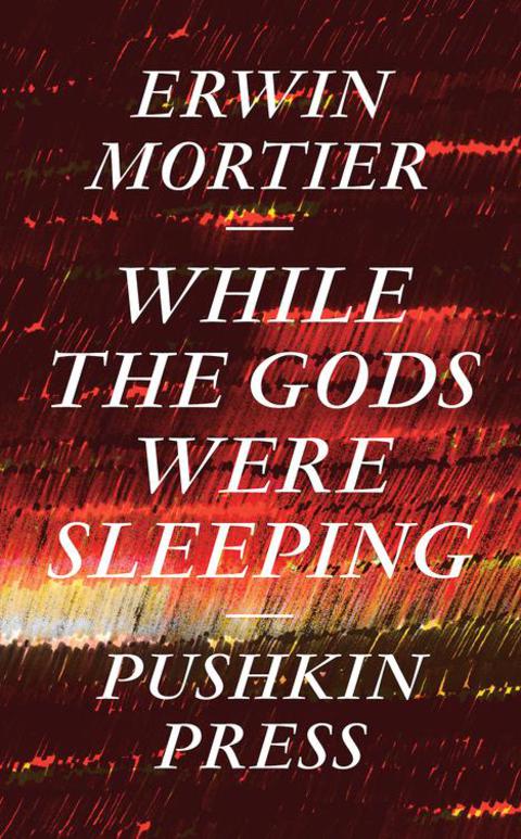 Cover image for book While the Gods Were Sleeping