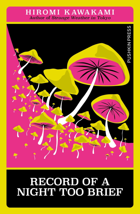 Cover image for book Record of a Night too Brief