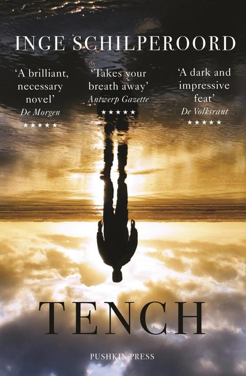 Cover image for book Tench