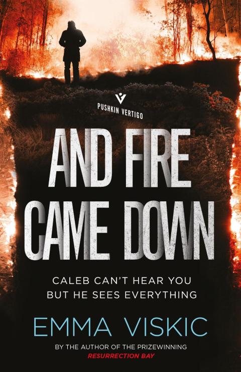 Cover image for book And Fire Came Down