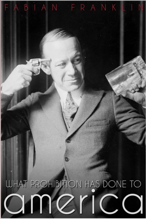 Cover image for book What Prohibition Has Done to America