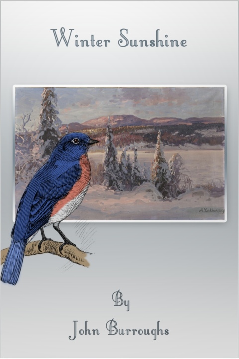 Cover image for book Winter Sunshine