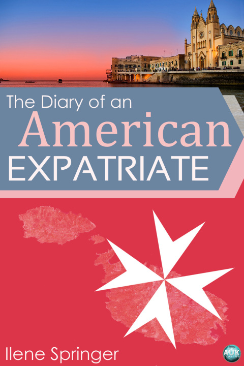 Cover image for book The Diary of an American Expatriate