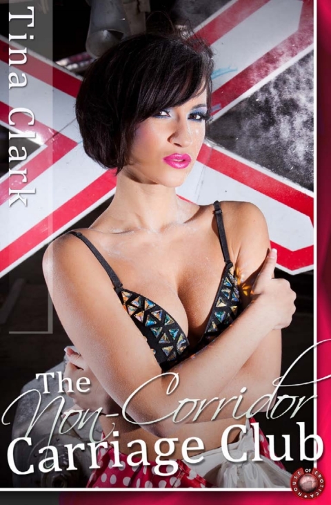 Cover image for book The Non Corridor Carriage Club