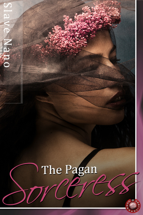Cover image for book The Pagan Sorceress