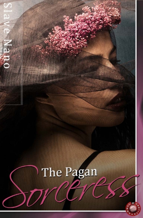 Cover image for book The Pagan Sorceress