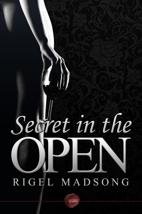 Cover image for book Secret in the Open