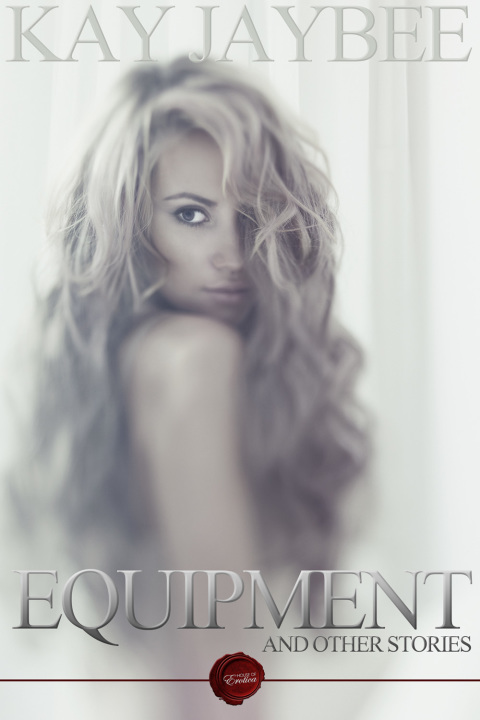 Cover image for book Equipment