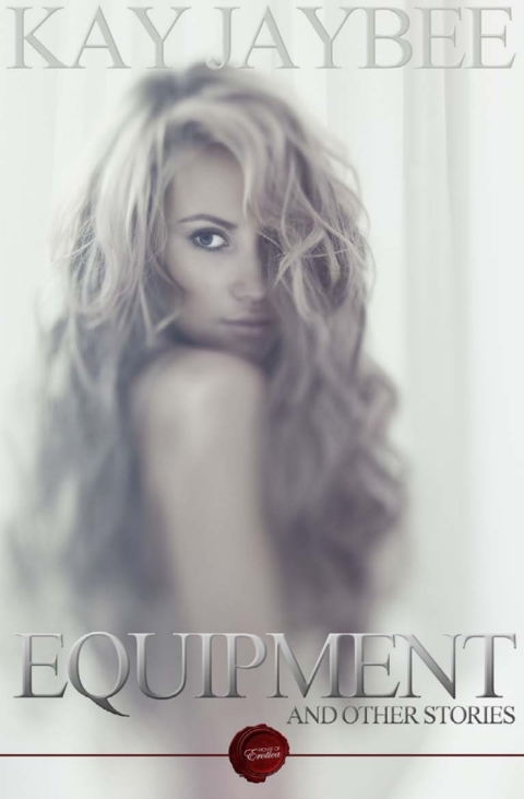 Cover image for book Equipment