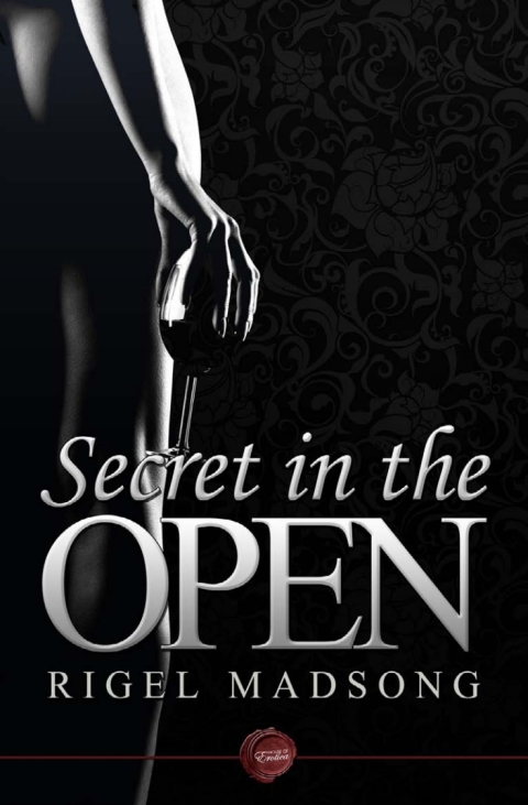 Cover image for book Secret in the Open