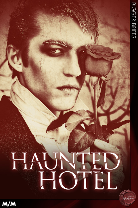 Cover image for book Haunted Hotel (MM)
