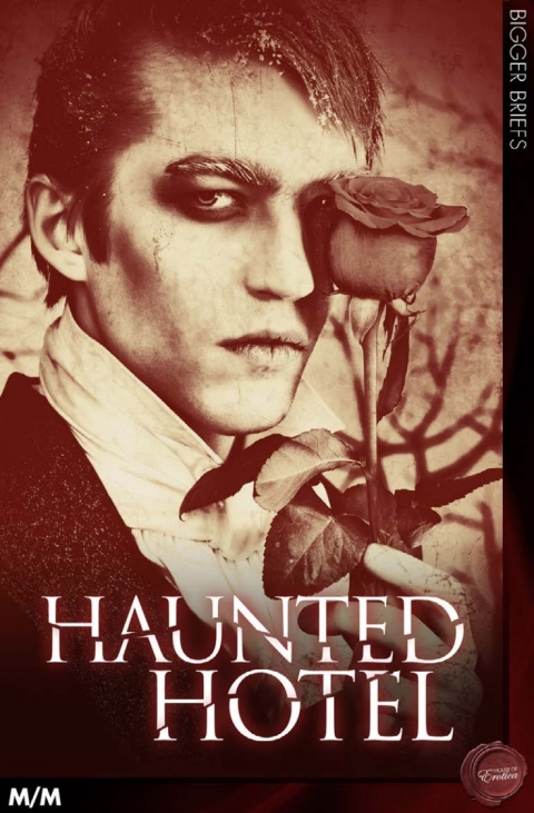 Cover image for book Haunted Hotel (MM)