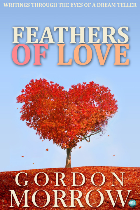 Cover image for book Feathers of Love