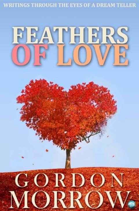 Cover image for book Feathers of Love