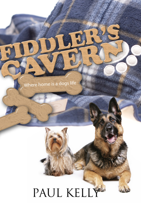 Cover image for book Fiddler's Cavern
