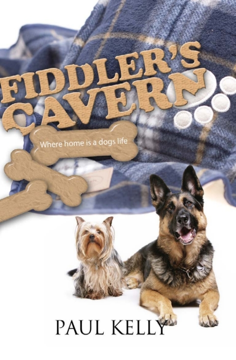 Cover image for book Fiddler's Cavern