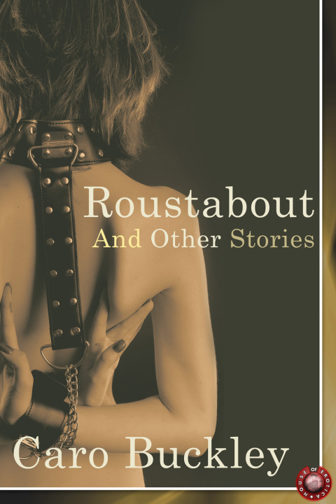 Cover image for book Roustabout and Other Stories