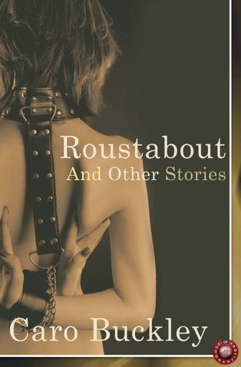 Cover image for book Roustabout and Other Stories