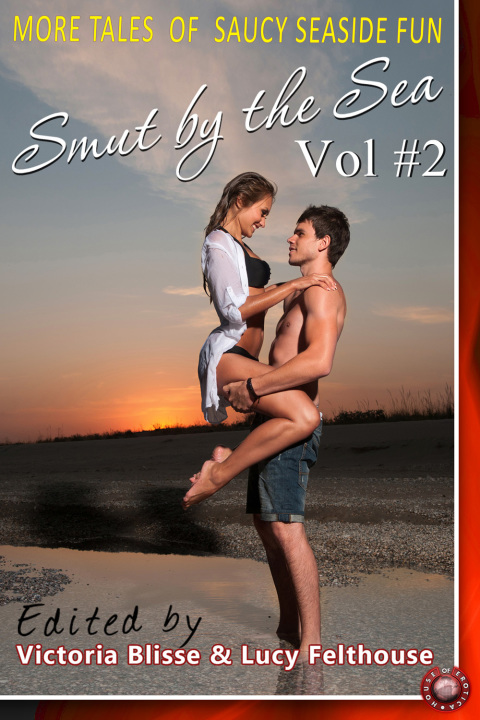 Cover image for book Smut by the Sea Volume 2