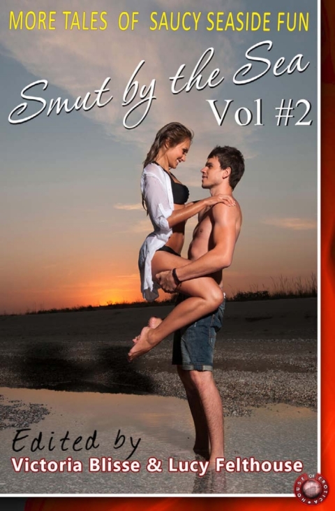 Cover image for book Smut by the Sea Volume 2
