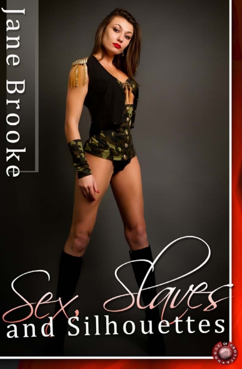 Cover image for book Sex, Slaves and Silhouettes
