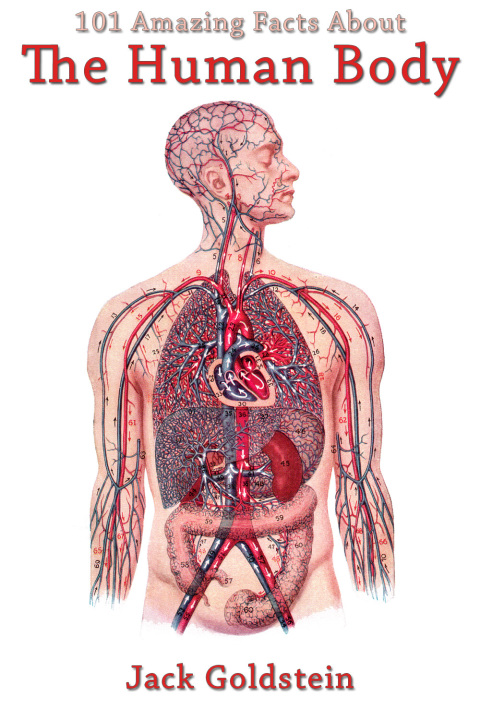 Cover image for book 101 Amazing Facts About The Human Body