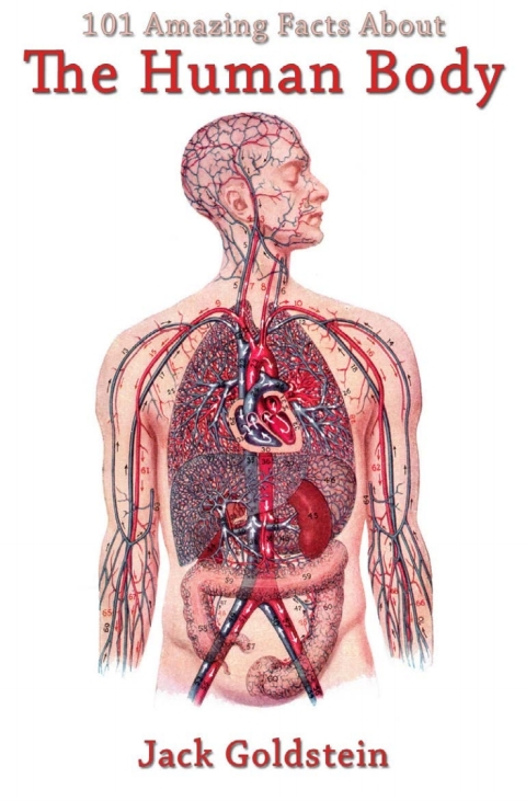 Cover image for book 101 Amazing Facts About The Human Body
