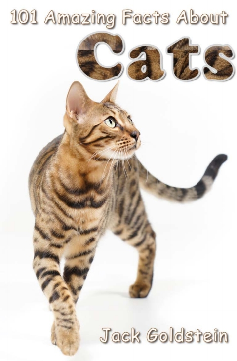 Cover image for book 101 Amazing Facts About Cats