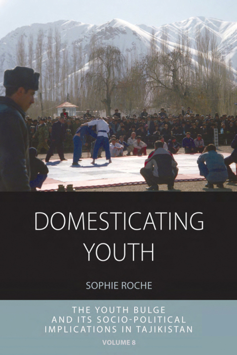 Cover image for book Domesticating Youth